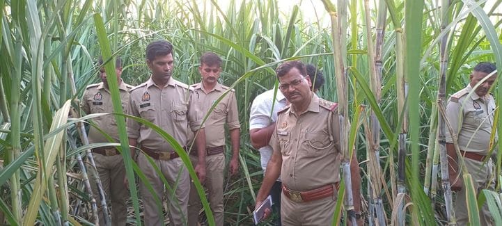 The mutilated body of a canter driver missing for one and a half months was found in a sugarcane field.