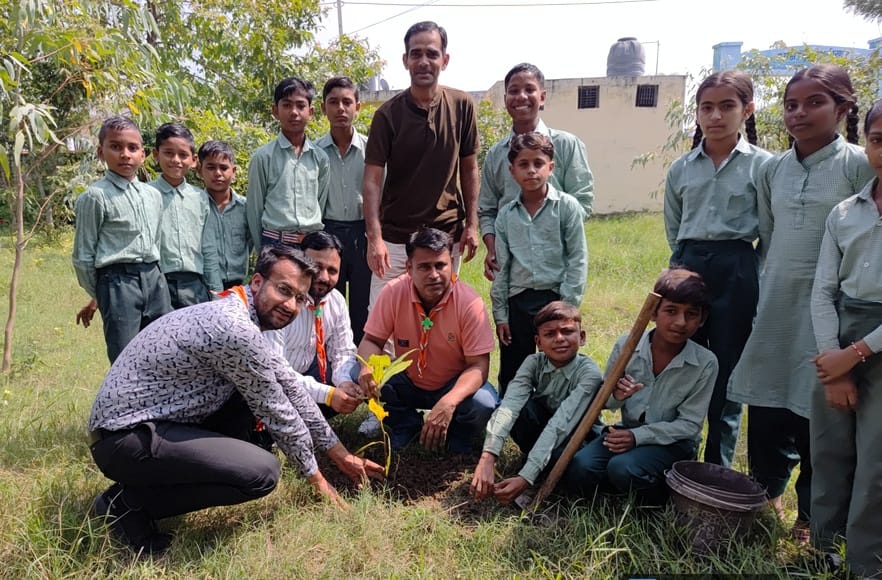 Students planted trees in the school