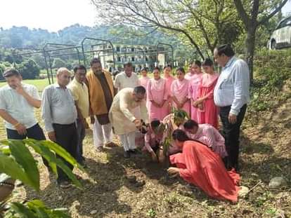 समूरकलां में पूर्व मंत्री एवं विधायक बिक्रम ठाकुर पौधरोपण करते हुए। स्रोत संस्थान