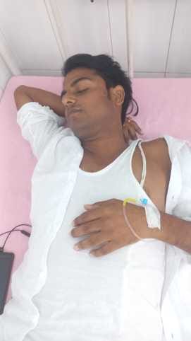 Snake bites computer operator in municipal premises, admitted