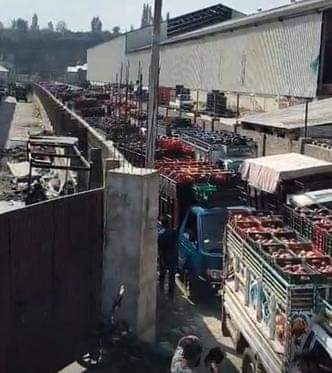 शोपियां में कोल्ड स्टोरेज के बाहर लगी ट्रकों की कतार। मुजम्मिल याकूब