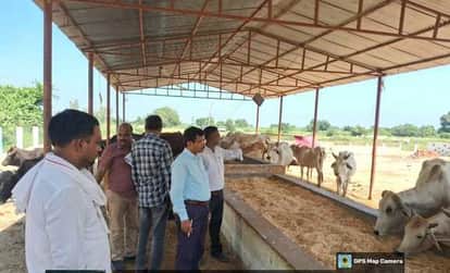 दुबौलिया ब्लॉक के मसहा गो संरक्षण केंद्र में निरीक्षण कर जानकारी लेते सीवीओ डॉ. अरुण कुमार गुप्