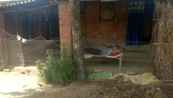 Jackal terror: Traps put up outside houses, children not sent to school