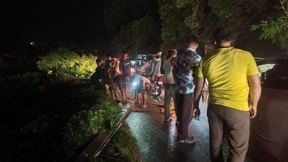 Four electric poles fell along with trees in the rain