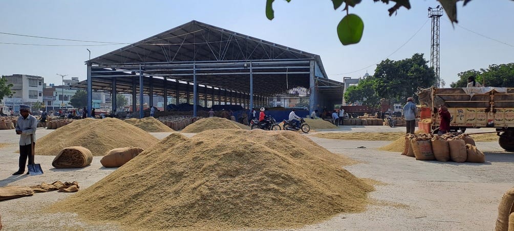 11400 quintals of paddy reached the market, purchase of PR paddy has not started