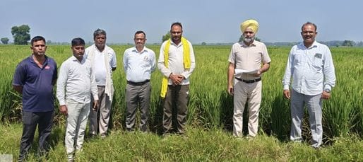 Verified crop inspection of direct seeded rice