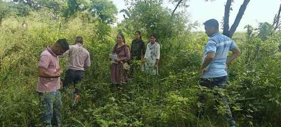 Committee formed to investigate tree felling from private land in Naganoli area