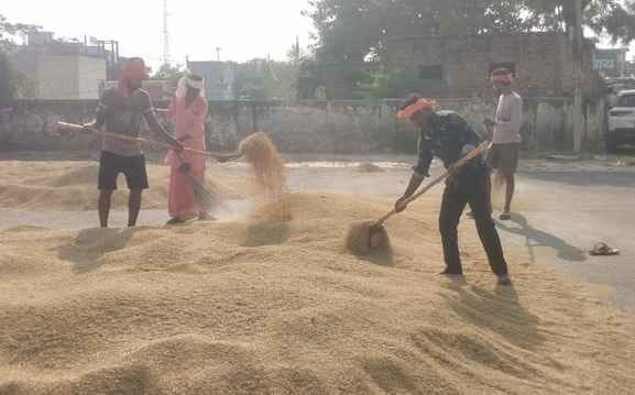 Price difference reduced, now farmers will get Rs 575 per quintal