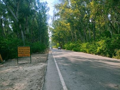 Bada Beed Forest Area will build a wall on both sides of Hansi Road to protect wild animals