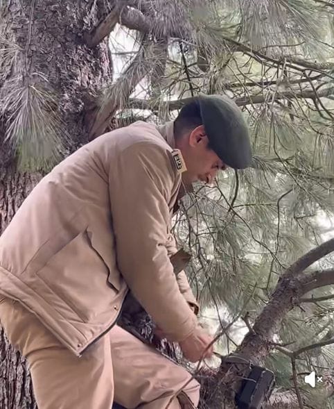 Trap cameras will monitor forest cutters and poachers