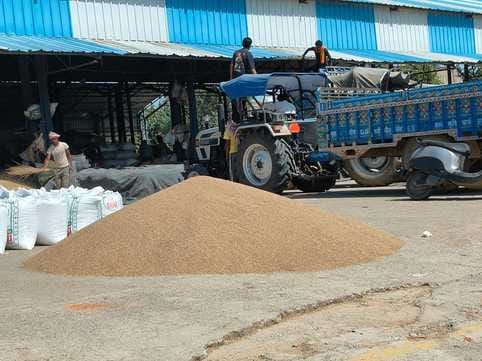 The revised support price of millet has been fixed at Rs 2200 per quintal.