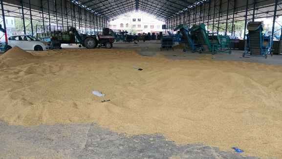 Government procurement has not begun at 48 centers.