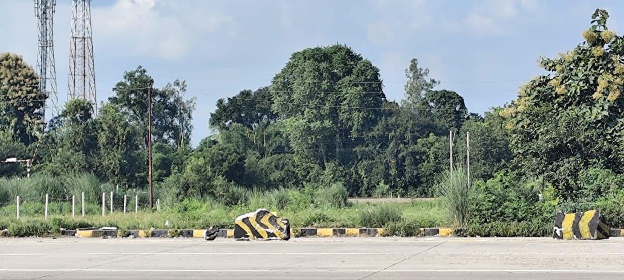 Industrial township to be built on 116 acres in Asroga, youth to get employment