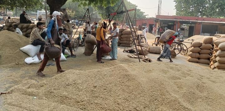 Government procurement centers have not been started, paddy is being purchased at commission agents.