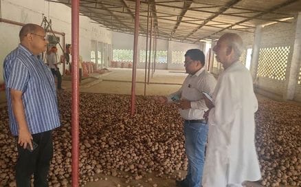 Campaign launched against those selling old potatoes artificially transformed into new ones