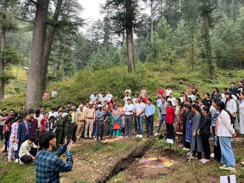 300 Ban trees were planted in Sharan forest.