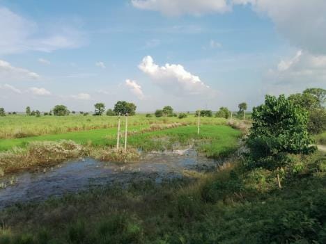A highway will be built from Bettiah to Sevarhi...the journey to Bihar will be easier.