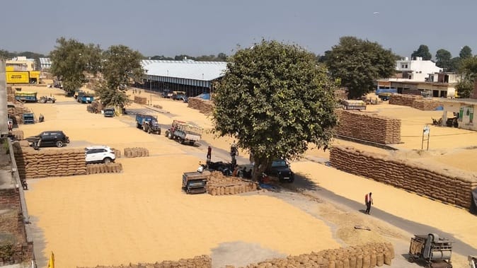 Due to lack of verification, paddy is not being sold, farmers are getting worried.