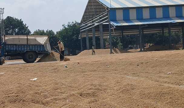 400 quintals of PR paddy arrived in the market, procurement has not started, so far 2400 quintals have arrived.