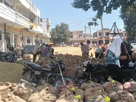 Paddy piles up in the new grain market due to lack of lifting, anger among farmers