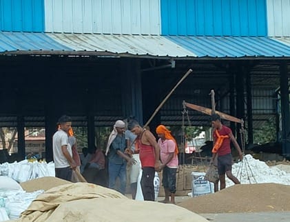 3500 tons of millet arrived in the market, but was not purchased.