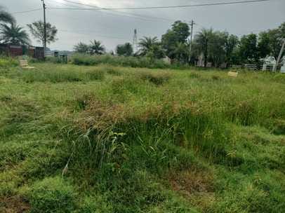 The parks of Dhani Kirarod and Dhani Afghan will be renovated.
