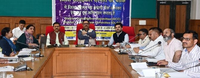 Banks should allocate loans on time: Deputy Commissioner