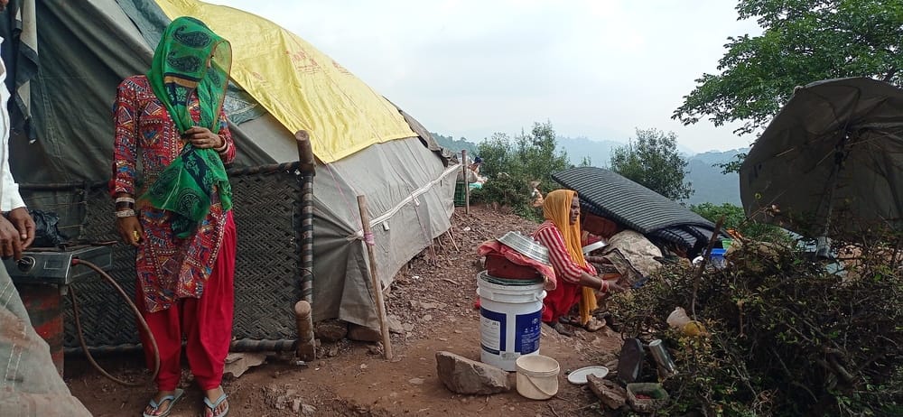 udhampur news, rain victim news