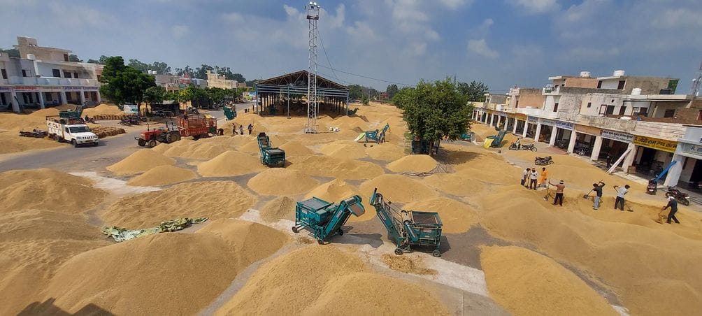 Delay in paddy procurement process worries farmers, moisture in crop increases concerns