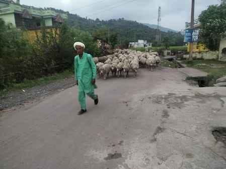Gaddi and Bakarwal families began returning as winter began.