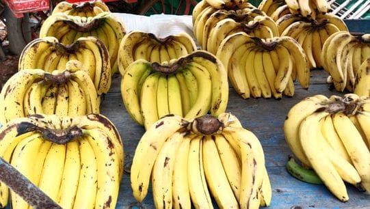 Bananas ripened with chemicals can cause intestinal diseases