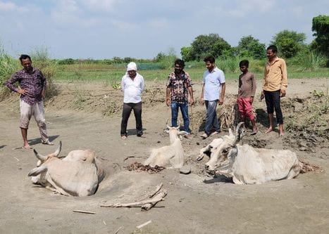 unnao news