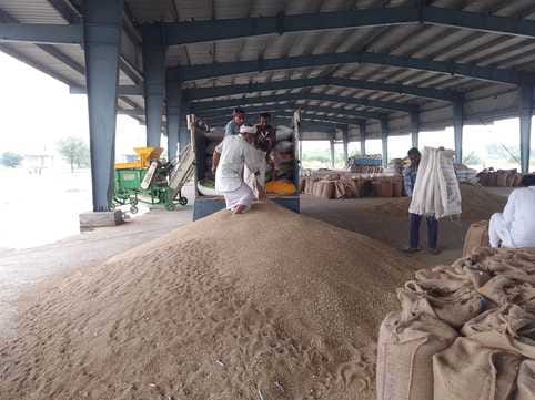 Even after eight days, millet was not purchased, farmers are worried.
