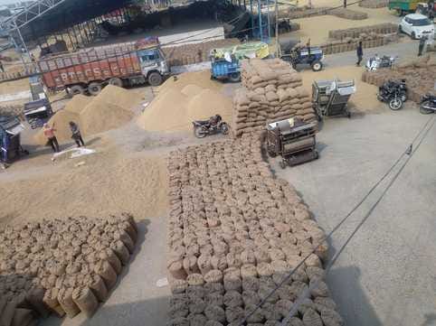 Payments begin with paddy lifting, Rs 52 crore 34 lakh released
