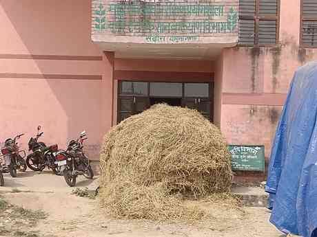 Pile of crop residue placed at the Agriculture Department office