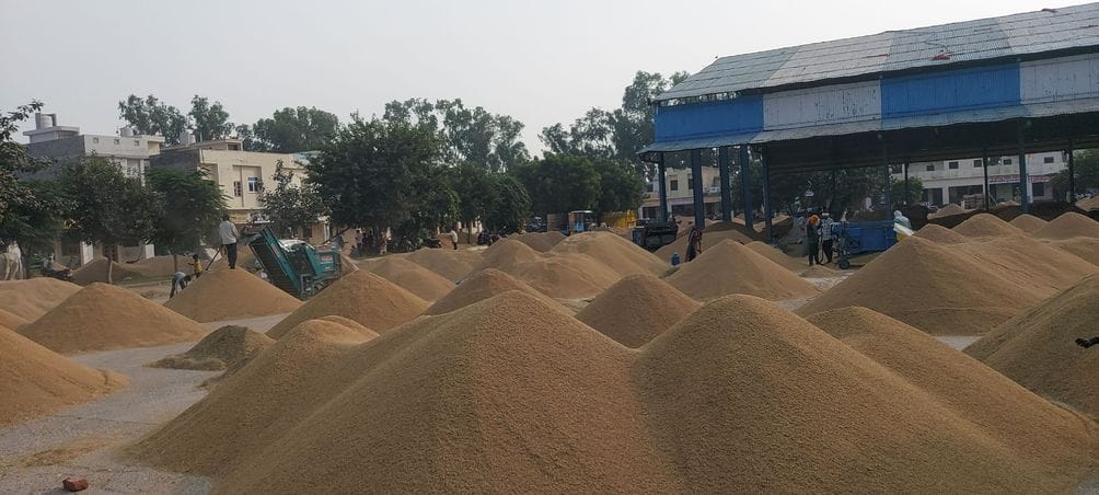 The arrival of PR paddy in the district's markets has increased.