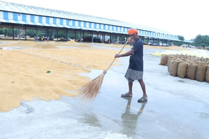 Rain and portal conditions wash away farmers' hopes