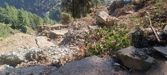 Forest department stopped the work of Rushad road