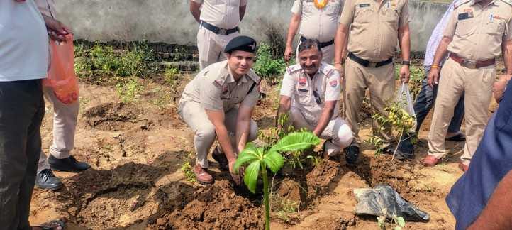 Spread the message of environmental protection by planting trees