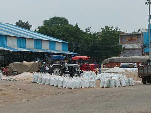 993 tonnes of millet arrived in Rewari and Kosli markets, but government procurement has not started.