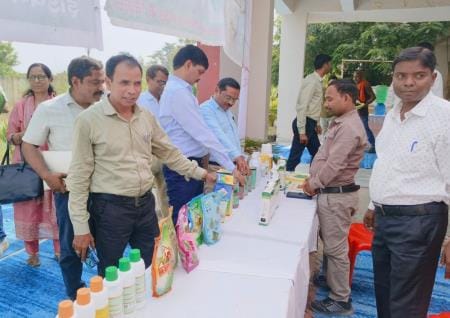 Cultivation of oilseeds will increase farmers' income