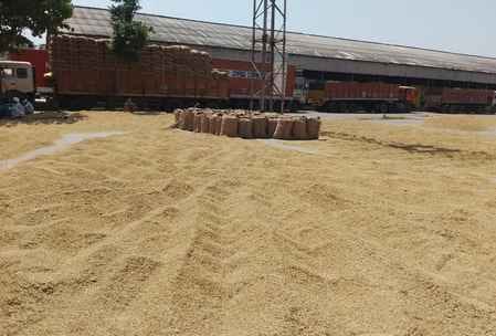 The weather took a turn, drizzle increased the worries of farmers.