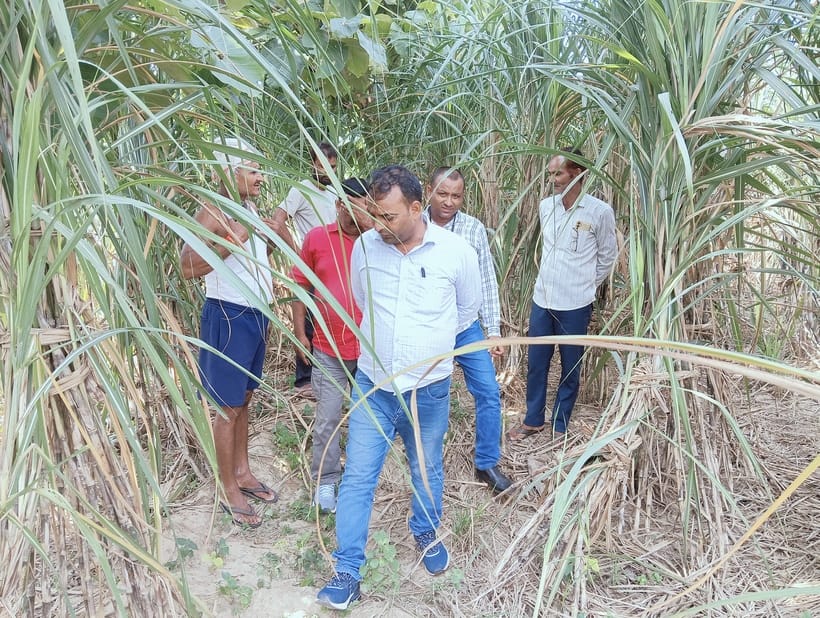 Rumors of leopard sighting in Karanpur create panic among villagers