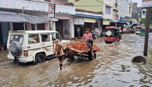 Heavy rain brings relief from heat, damages harvested paddy crops