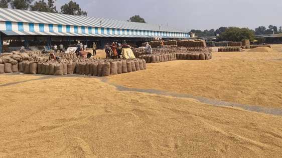 Gate passes are being cut more in the mandis, paddy procurement is slow