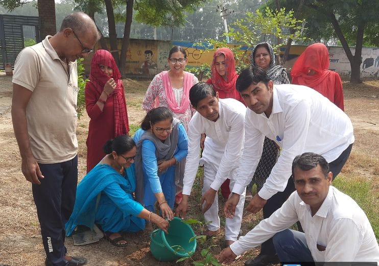 Health check-up of pregnant women during Seva Pakhwada