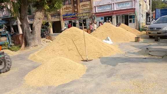 Paddy lifting has begun, but procurement has not yet begun at 42 centers
