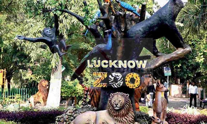 CEC has suggested not to shift Lucknow Zoo to Kukrail Night Safari