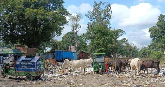 The old SP bungalow ground has been turned into a garbage dump... the stench makes it difficult to breathe
