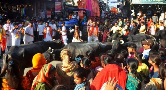 Arrangements derailed on Dussehra... People struggled with traffic jams on the route to the fair.